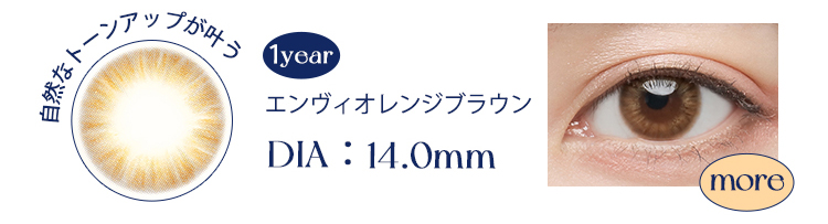 エンヴィオレンジブラウン
