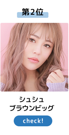 シュシュブラウンビッグ