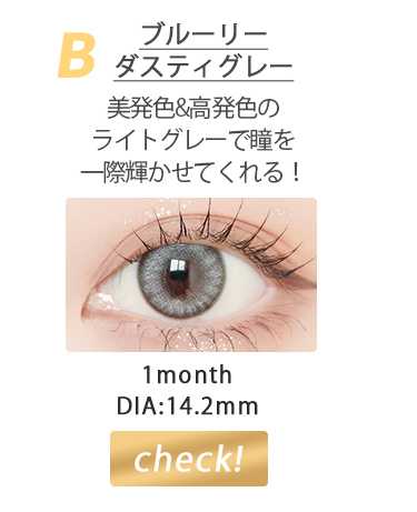 ブルーリーダスティグレー