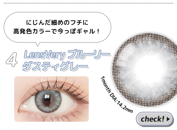 ブルーリーダスティグレー