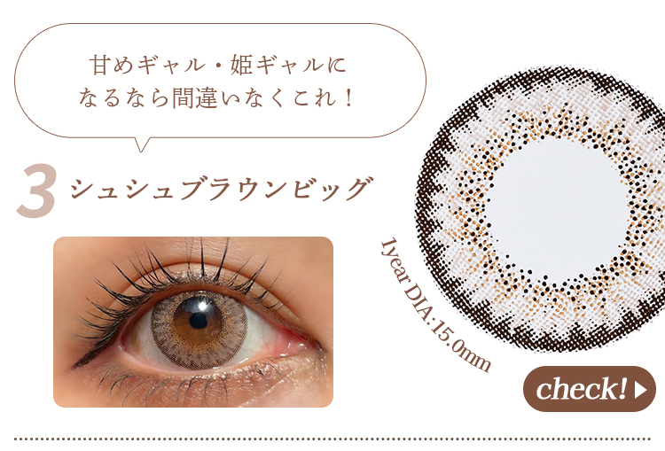 シュシュブラウンビッグ