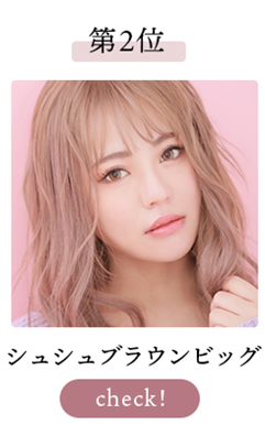 シュシュブラウンビッグ